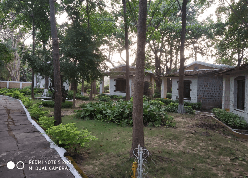 Delux cottage in Kanha 2