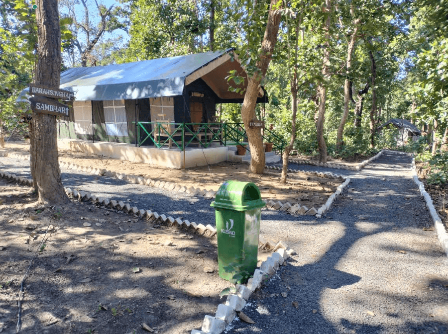 Delux Safari Tent - Kanha main