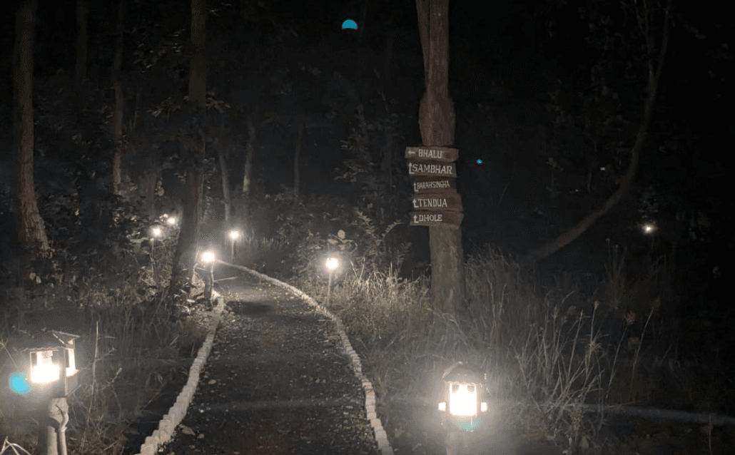 Delux Safari Tent - Kanha 5