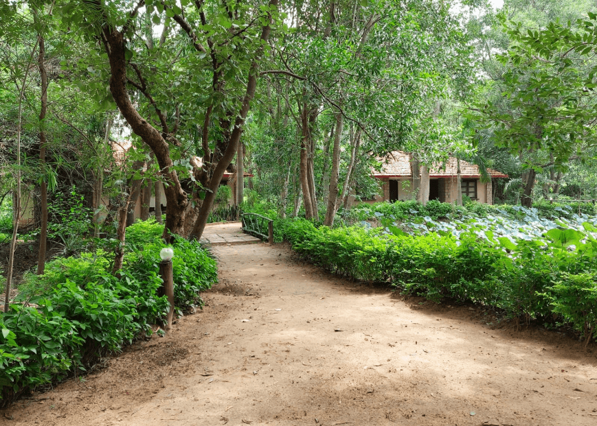 Delux cottage -bandhavgar 2